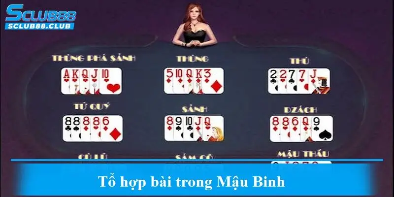 Tổ hợp bài trong Mậu Binh